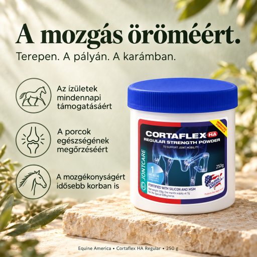 EQUINE AMERICA CORTAFLEX HA REGULAR STRENGHT POWDER ÍZÜLETVÉDŐ 250gr