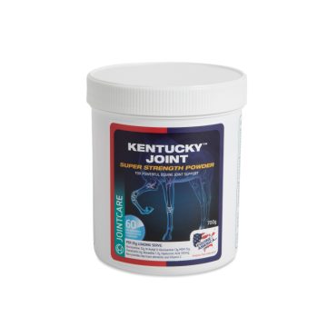   EQUINE AMERICA KENTUCKY JOINT SUPER STRENGHT POWDER  ÍZÜLETVÉDŐ 700gr