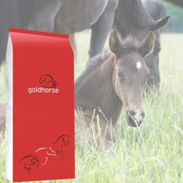 GOLDHORSE BORN AND GROW Kanca és Csikó Táp 20kg