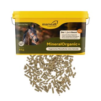 MARSTALL FORCE 10 kg