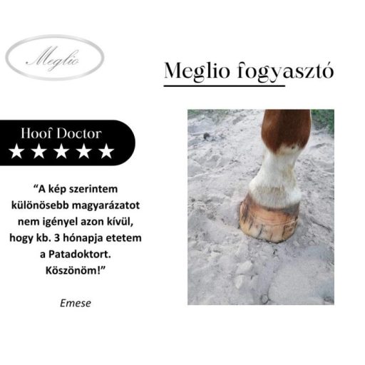 MEGLIO HOOF DOCTOR SZARUTÁMOGATÓ GYÓGYNÖVÉNYTONIK LOVAKNAK BIOTINNAL 500ml