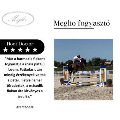 MEGLIO HOOF DOCTOR SZARUTÁMOGATÓ GYÓGYNÖVÉNYTONIK LOVAKNAK BIOTINNAL 500ml