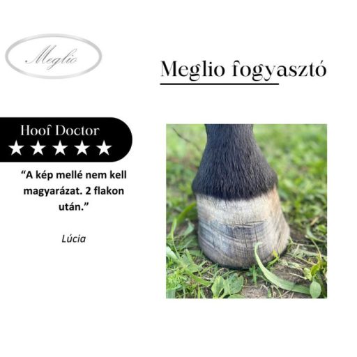 MEGLIO HOOF DOCTOR SZARUTÁMOGATÓ GYÓGYNÖVÉNYTONIK LOVAKNAK BIOTINNAL 500ml
