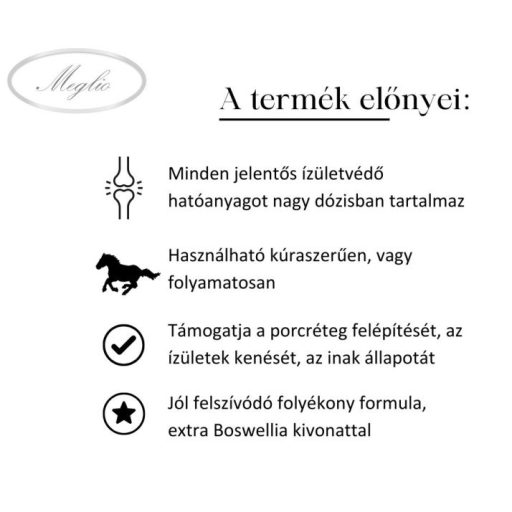 MEGLIO VITA-JOINT KOMPLEX ÍZÜLETVÉDŐ FOLYADÉK BOSWELLIÁVAL 500ml