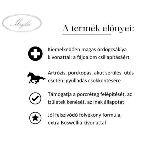 MEGLIO VITA-JOINT GOLD KOMPLEX ÍZÜLETVÉDŐ LOVAKNAK ÖRDÖGCSÁKLYÁVAL 500ml