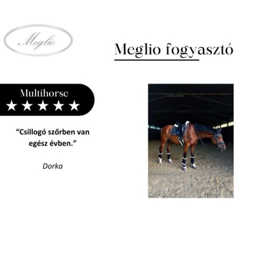 MEGLIO MULTIHORSE MULTIVITAMIN KIEGÉSZÍTŐ TAKARMÁNY LOVAKNAK 3000gr
