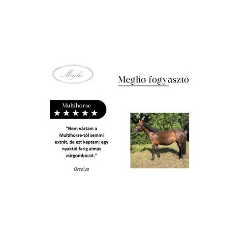 MEGLIO MULTIHORSE MULTIVITAMIN KIEGÉSZÍTŐ TAKARMÁNY LOVAKNAK 3000gr