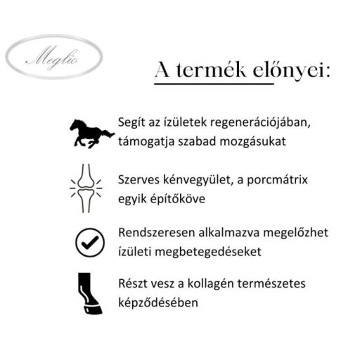 MEGLIO MSM ÍZÜLETVÉDŐ LOVAKNAK 500gr