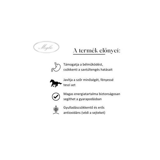 MEGLIO HIDEGEN SAJTOLT LENMAG OLAJ 1 liter