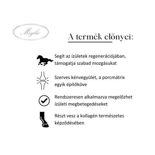 MEGLIO MSM ÍZÜLETVÉDŐ LOVAKNAK 3000gr