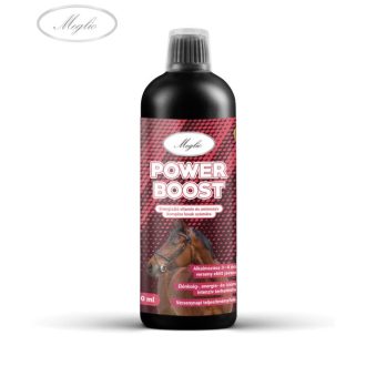   MEGLIO POWER BOOST ENERGIZÁLÓ VITAMIN ÉS AMINOSAV KOMPLEX LOVAKNAK 500ml