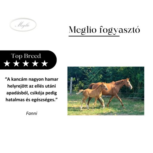 Meglio Top Breed Prémium Csikó-Kanca Táp 20kg