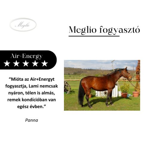 MEGLIO AIR+ENERGY PRÉMIUM LÉGÚTTISZTÍTÓ SPORT LÓTÁP 20 kg