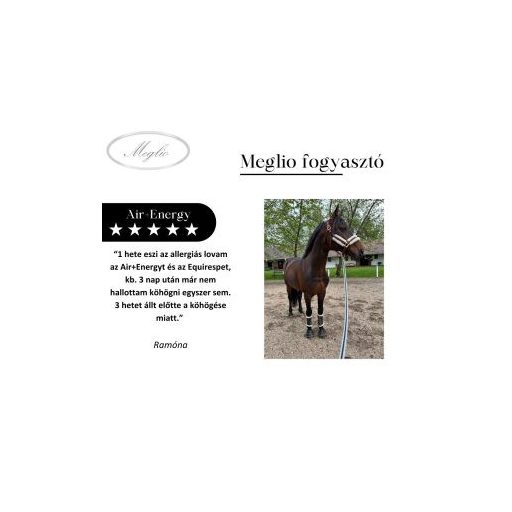 MEGLIO AIR+ENERGY PRÉMIUM LÉGÚTTISZTÍTÓ SPORT LÓTÁP 20 kg