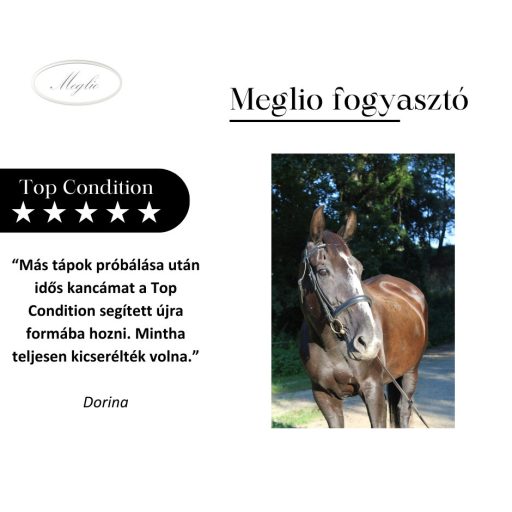 MEGLIO TOP CONDITION PRÉMIUM SPORT LÓTÁP 20 kg