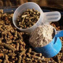 Étrendkiegészítő